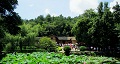 長(zhǎng)沙出發(fā)到花明樓、韶山、張家界國(guó)家森林公園、天門(mén)仙山國(guó)家森林公園四日游