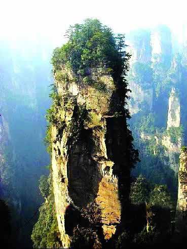張家界國家地質(zhì)森林公園、黃石寨、金鞭溪休閑一日游